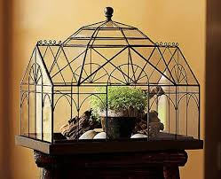 Wrought Iron Terrarium Tabletop Terrarium Victorian Greenhouses Wardian Case