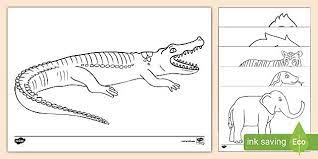 We did not find results for: Jungle Animals Black And White Sheets Twinkl Resources