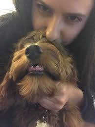 Child loses second tooth unexpectedly