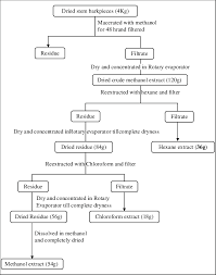 Flow Chart Of Extraction Process Download Scientific Diagram