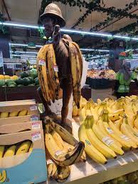 Pisang tanduk cigudeg pleis bilong tu mi. Pisang Tanduk Bananas Information And Facts