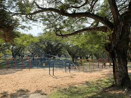 The 403 bus stops across from the park near pasir ris way. Pasir Ris Park Quaint Coastal Park With Mangrove Boardwalk Playground Horse Stable