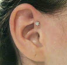 The Flower Is So Adorable Simplistic Cool Ear Piercings Ear Piercing Combinations Earings Piercings