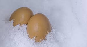 Ces 8 Aliments Qu Il Ne Faut Absolument Pas Congeler