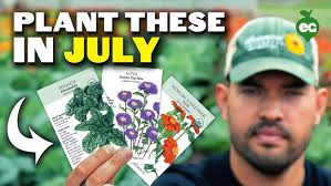 Understanding the Invasion of European Green Crab in Yaquina Bay w/Derek  Wilson