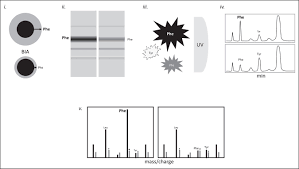 Technological Journey From Colorimetric To Tandem Mass