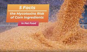 Can't get any better information what your feeding your dog then her. Truth About Pet Food Home Facebook
