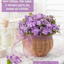 Maria Lucia Lobo (mllc2954) — Perfil | Pinterest