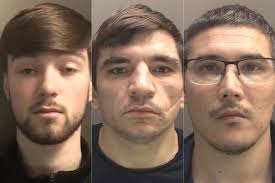 Laughing drug dealer, Mercedes driver and champion MMA fighter jailed this  week