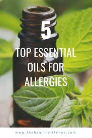 Over The Last 50 Years The Rise In Prevalence Of Allergic Diseases And Disorders Has Continued Seasonal Allergy Symptoms Hayfever Remedies Seasonal Allergies