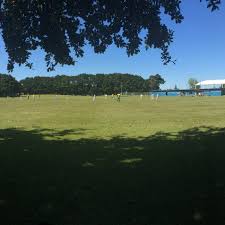 Lalele organic gelato and more. Pukekohe Metro Cricket Club Posts Facebook