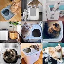 Modkat Xl Litter Box In 2020 Litter Box Litter Tracking Litter