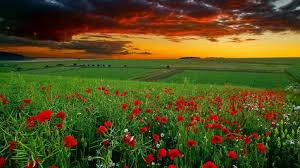 A desktop wallpaper is highly customizable, and you can give yours a personal touch by adding your images (including your photos from a camera) or download beautiful pictures from the internet. Full Hd Nature Wallpapers 1080p Desktop Background Scenery Wallpaper Hd Nature Wallpapers Landscape Wallpaper