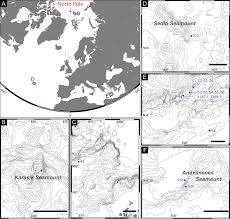 Within the last few years, a significant amount of interest has developed in the arctic ocean and its seafloor features. Echinoderes Pterus Sp N Showing A Geographically And Bathymetrically Wide Distribution Pattern On Seamounts And On The Deep Sea Floor In The Arctic Ocean Atlantic Ocean And The Mediterranean Sea Kinorhyncha Cyclorhagida