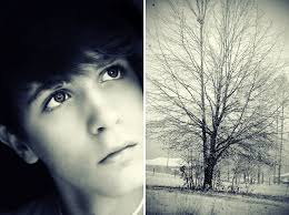 faded from the winter,