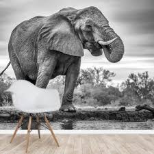 Elephant Black And White Wall Mural Wallsauce Uk In 2020 Elephant Black And White Wall Murals Black And White Wallpaper