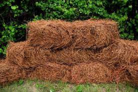 See reviews, photos, directions, phone numbers and more for pinestraw bales for sale locations in lakeland, fl. Pine Straw Services In Savannah Ga