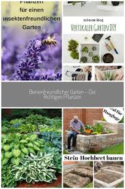 Pflanzen Garten Naturgarten Biogarten Tierschutz Bienen Insekten Pflanzen Garten Bienenfreundlicher Garten In 2020 Bienenfreundlicher Garten Pflanzen Garten