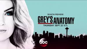 The first season of the american television medical drama grey's anatomy, began airing in the united states on the american broadcasting company (abc) on march 27, 2005, and concluded on may 22, 2005. Grey S Anatomy Streaming Tv Show Online