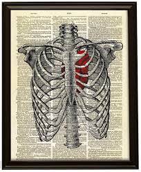The rib cage provides good markers for charting the cardiac silhouette. Heart In Ribcage On Text Dictionary Art Print Dictionary Art Anatomy Art