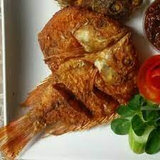 Check spelling or type a new query. Nasi Ikan Kakap Goreng Tayujek