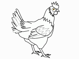 It does not work on digital images in color. Cartoon Pictures Of Chickens Coloring Home