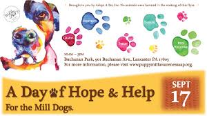 A wide range of additional services may also be offered by the save a pet, inc. Pets For Adoption At Adopt A Pet In Freehold Nj Petfinder