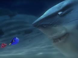 Myths About Sharks That Aren T True