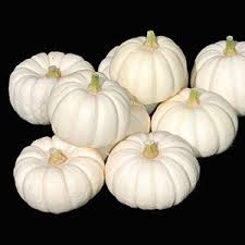 Story mode, serving as the main antagonist in the 6th episode of season 1, a portal to mystery. White Ghost Pumpkins Care Types And Growing Tips