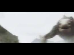 Skull island starring tom hiddleston, samuel l. Kong Skull Island Schadelkriecher Endgegner Youtube