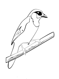It has a pronounced crest which may be raised or lowered according to the please do not alter the file or upload this file to another website. Blue Jay Coloring Pages Download And Print Blue Jay Coloring Pages