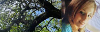 Kiera's Trees: A Mother's Dedication to Bringing Her Missing and Murdered  Daughter Home