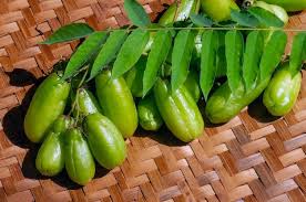 Image result for Averrhoa