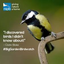 Don't forget to register for your free big schools' birdwatch resource and tell us what you found at rspb.org.uk/schoolswatch. 400 Biggardenbirdwatch Ideas Big Garden Birdwatch Garden Tags Big Garden