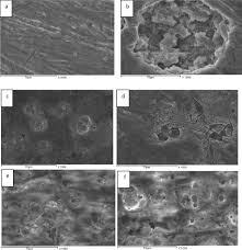 Image result for alloy edx micrograph