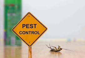Panacea services brings you bundled services under one roof. Top 100 Pest Control Services In Dehradun Best Residential Pest Control Services Justdial