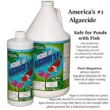 We did not find results for: Pond Plants Water Lilies Water Garden Plants Lotus Pond Megastore