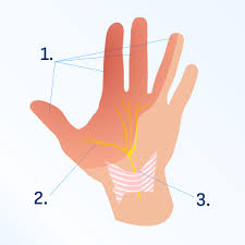 Image result for karp ln  tunel ort za