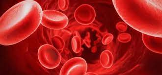 L'analisi degli indici corpuscolari si svolge sulla parte corpuscolata del sangue, ossia sulle cellule circolanti. Mchc Cos E Alto Basso Cosa Mangiare E Gravidanza