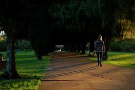 Parque Tierra de Paz espera más de 5.000 visitas para el Día del Padre