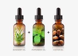 To know more about the benefits of castor oil and peppermint oil for hair growth, check this out. Regrow Your Hair Hair Regrowth Essential Oil Hair Growth Fast Hair Regrowth Coconut Oil For Skin