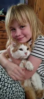 Ginger cat found at Marwood and Spiker intersection