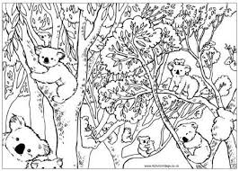 Each printable highlights a word that starts. Count The Koalas Puzzle Koala Colouring Page Australia Animals Australian Animals Animal Coloring Pages