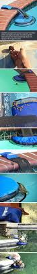 Critter Pool Ramp Susseste Haustiere Tiere Tiere Retten