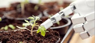 Douglas Wilbert, Author at The Protiviti View