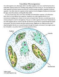 We did not find results for: What Are The 8 Organelles
