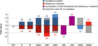 Get carlos acevedo's contact information, age, background check, white pages, professional records, pictures, bankruptcies, property records & liens. Pervasive Cooperative Mutational Effects On Multiple Catalytic Enzyme Traits Emerge Via Long Range Conformational Dynamics Nature Communications