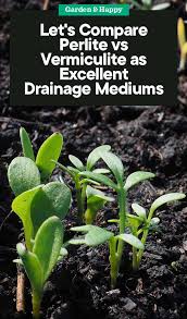 Similarities between perlite vs vermiculite. Perlite Vs Vermiculite Comparison As Drainage Mediums Garden And Happy