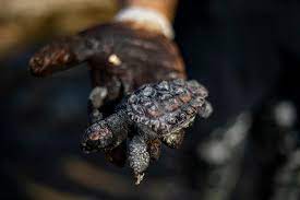 Suspected oil spill may be worst in israel's history. Disaster Oil Spill Stains Israel S Coastline Reaches Lebanon