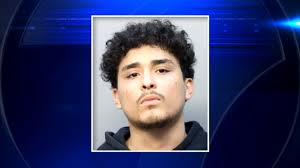 FHP: Driver who took off from traffic stop, went against traffic arrested  following pursuit